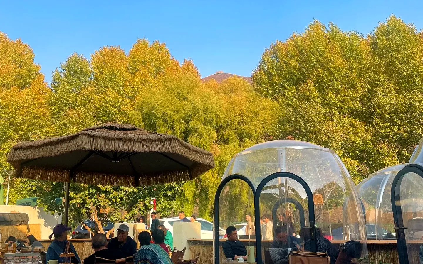 Guests seated beside a Celenest dome under autumn trees