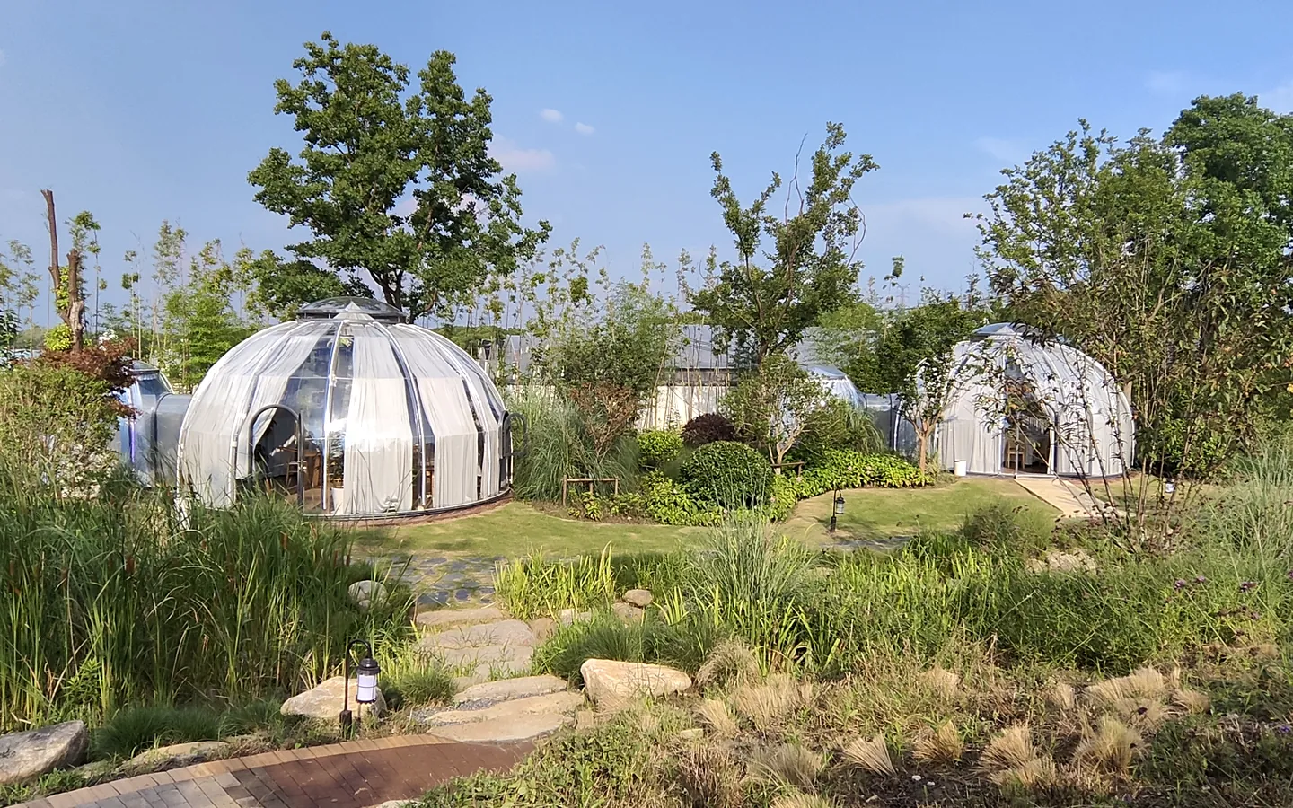 Transparent Celenest domes in a planted garden setting